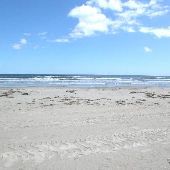 Padre Island National Seashore
